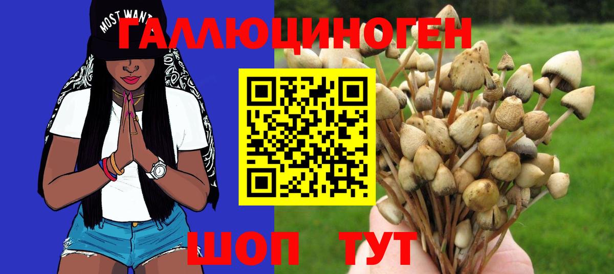 Псилоцибиновые грибы мухоморы Электросталь