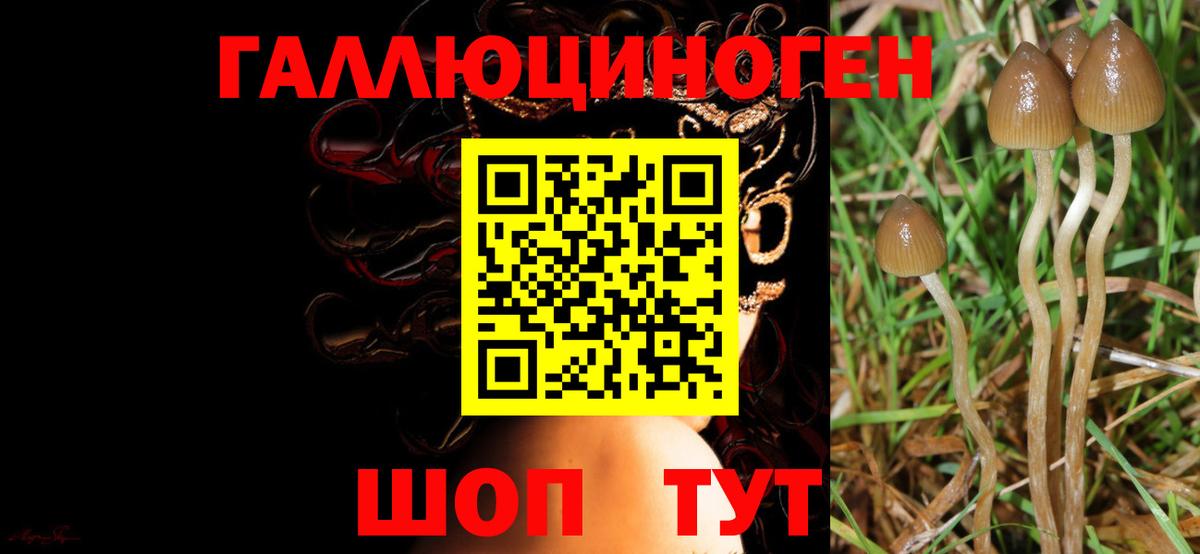 Галлюциногенные грибы мухоморы  Вход с VPN  Электросталь 
